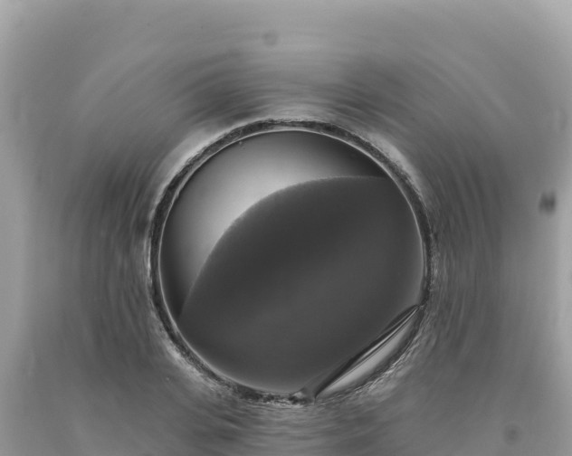X0000093740935200710231208