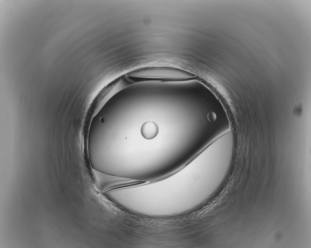 X0000093740936200710231208