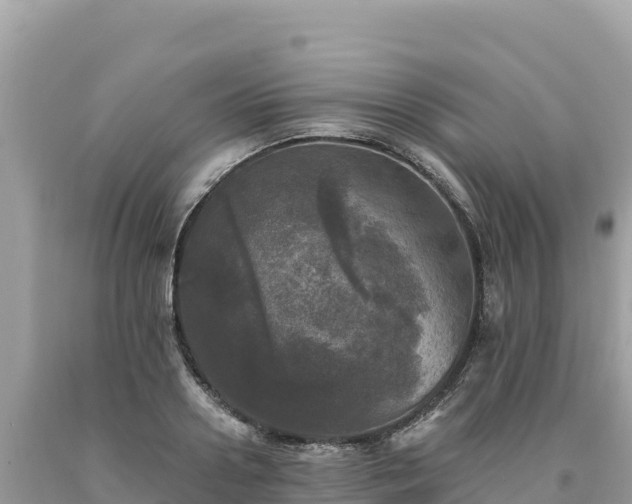 X0000093740938200710231208