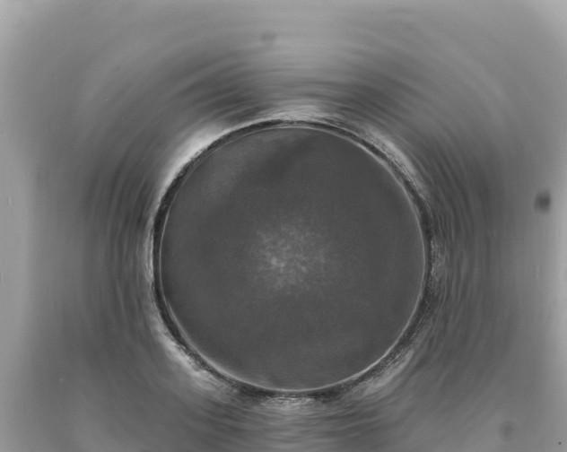 X0000093740939200710231208