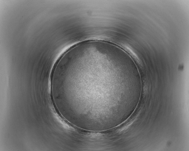 X0000093740940200710231208