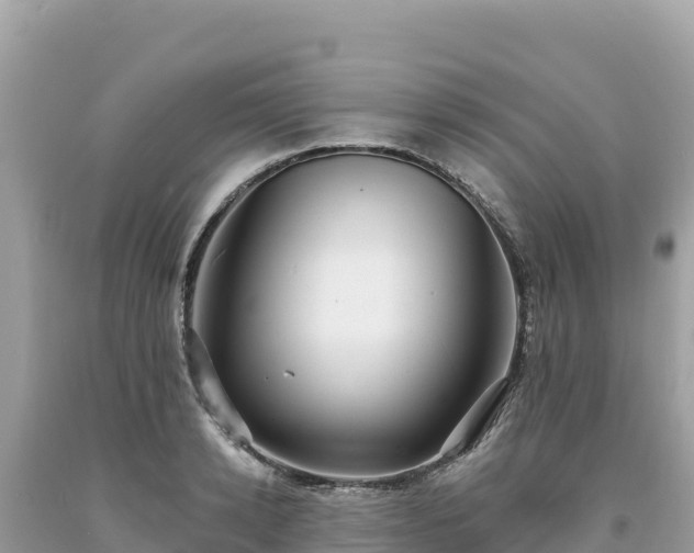 X0000093740942200710231208
