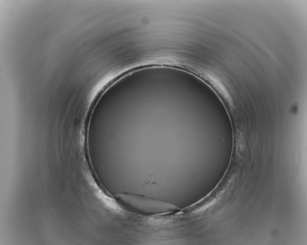 X0000093740944200710231208