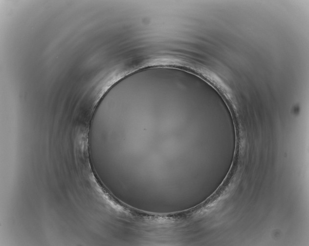 X0000093740945200710231208
