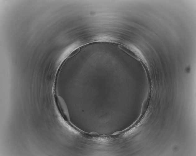 X0000093740946200710231208