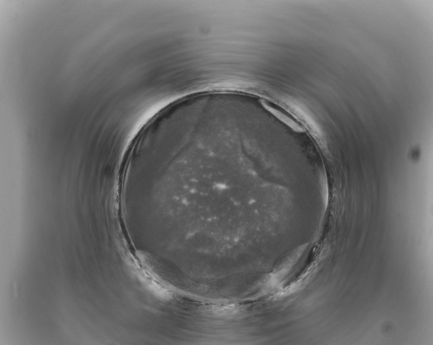 X0000093740948200710231208