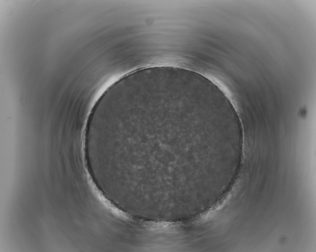X0000093740949200710231208
