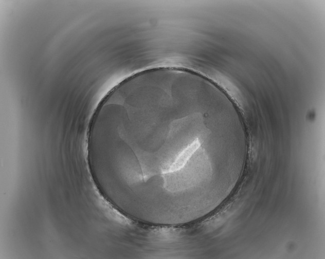 X0000093740950200710231208