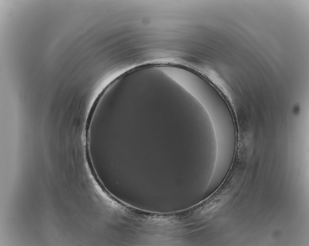 X0000093740951200710231208