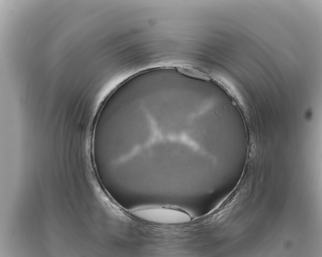 X0000093740952200710231208
