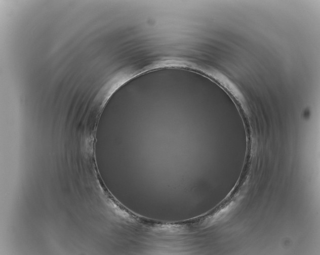 X0000093740953200710231208