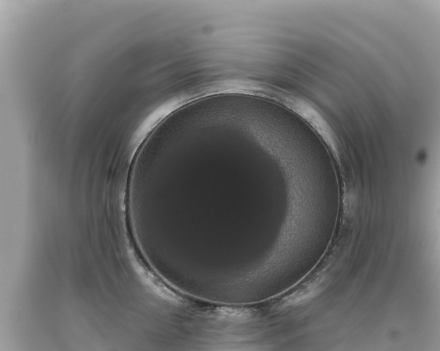 X0000093740954200710231209
