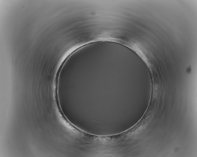 X0000093740955200710231209