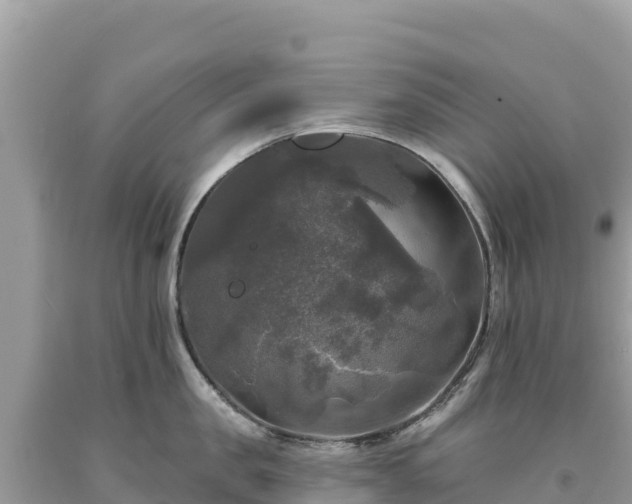 X0000093740957200710231209