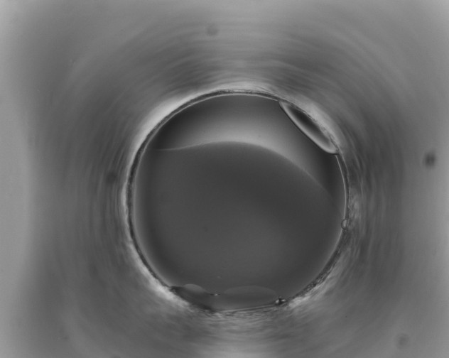 X0000093740959200710231209