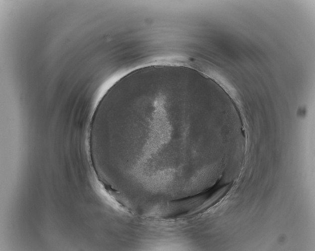 X0000093740960200710231209