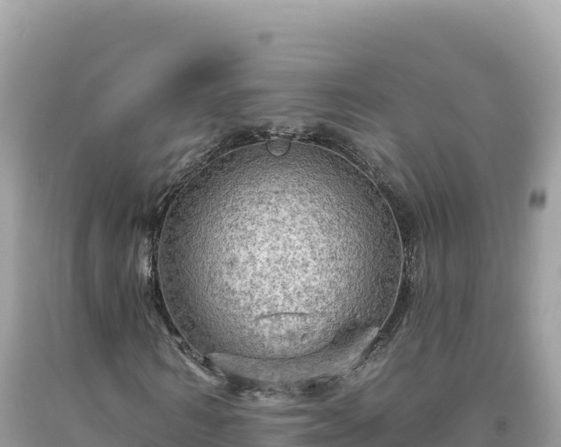 X0000093740962200710231208