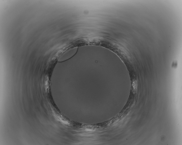 X0000093740963200710231208