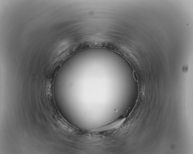 X0000093740964200710231208