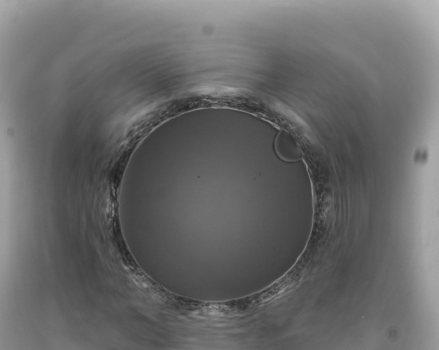 X0000093740966200710231208