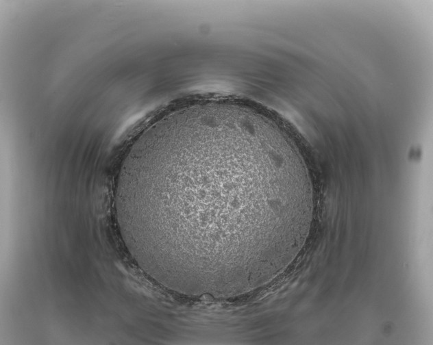 X0000093740967200710231208