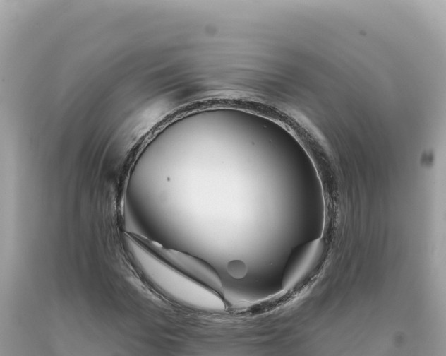 X0000093740969200710231208