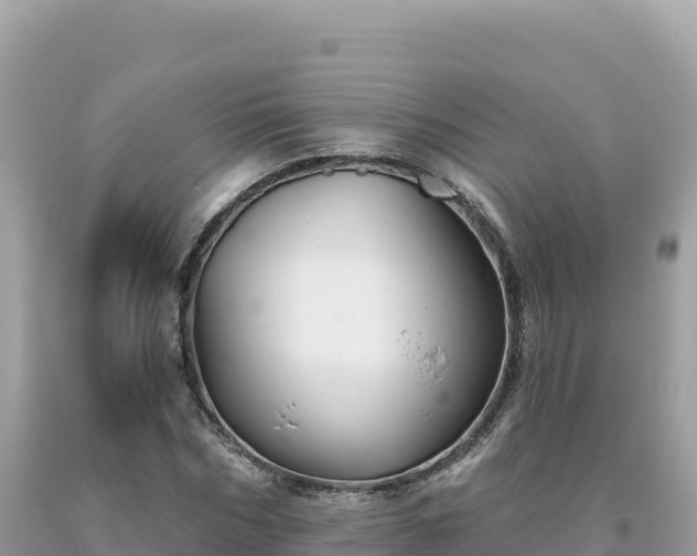 X0000093740970200710231208