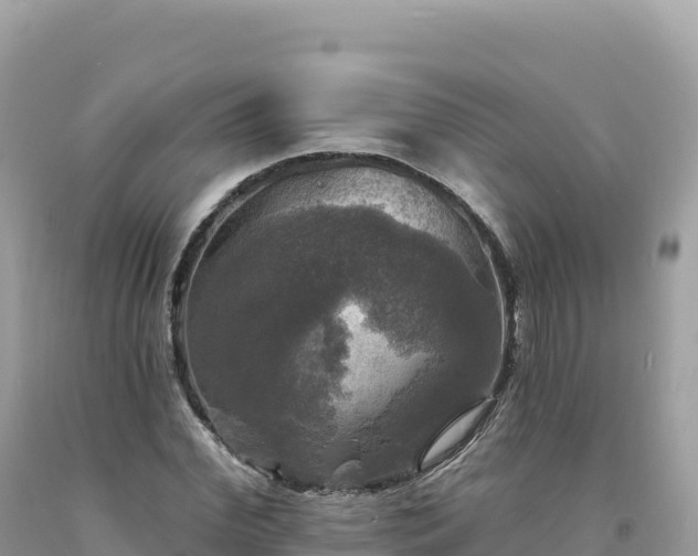 X0000093740972200710231208