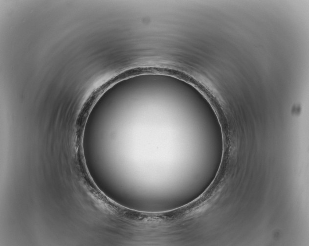 X0000093740974200710231208