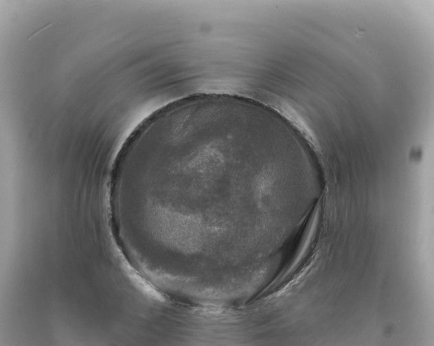 X0000093740976200710231208
