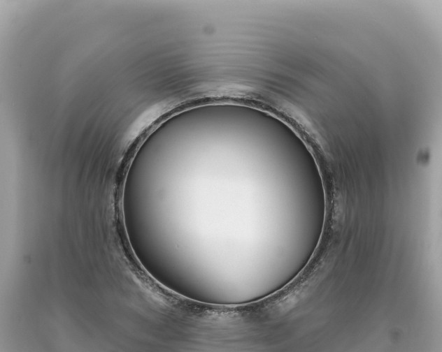 X0000093740978200710231208