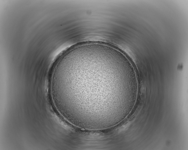 X0000093740979200710231208