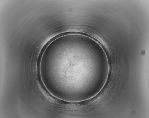 X0000093740980200710231208