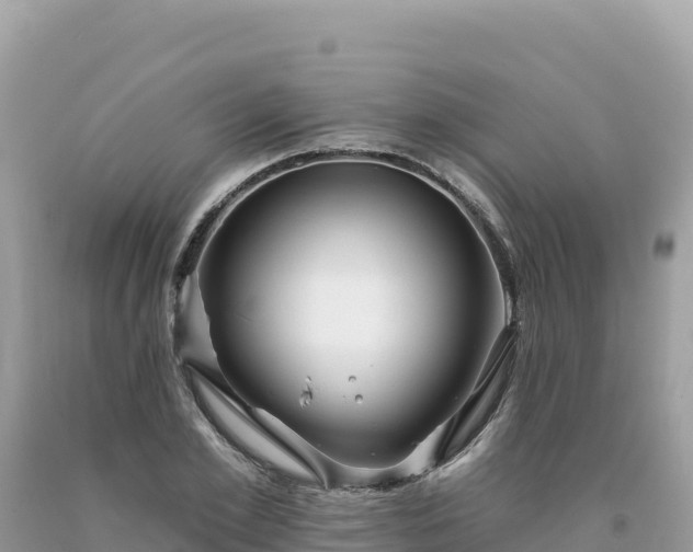 X0000093740981200710231208