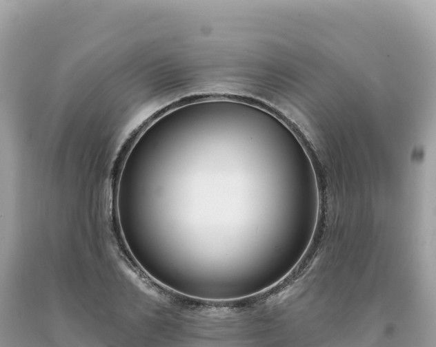 X0000093740982200710231208