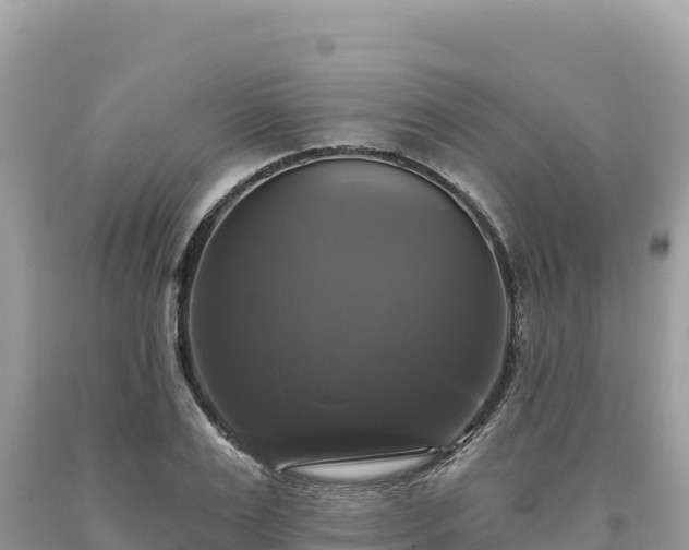 X0000093740983200710231208