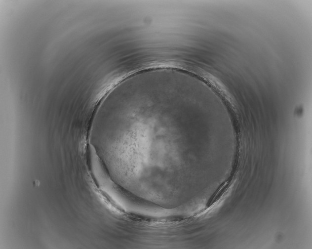 X0000093740985200710231208