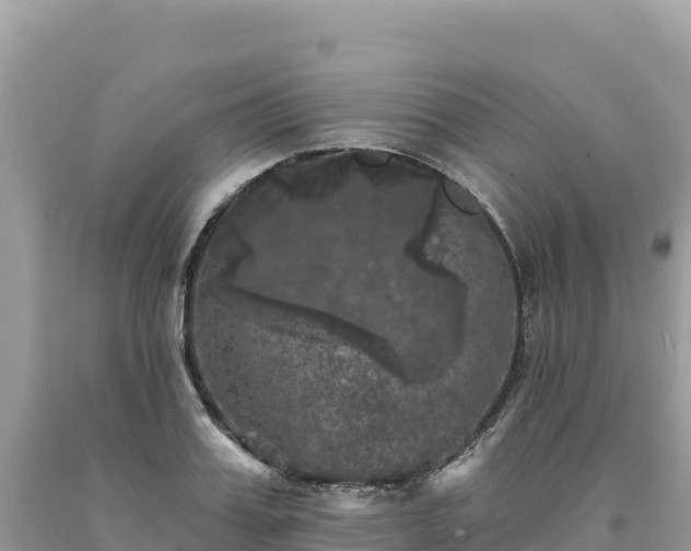 X0000093740987200710231208