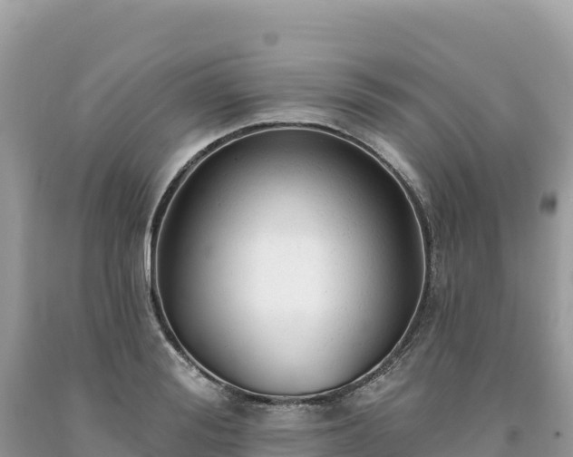 X0000093740988200710231208