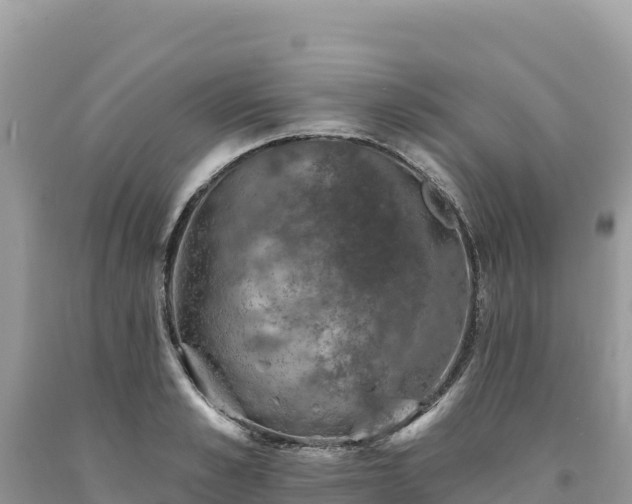 X0000093740989200710231208