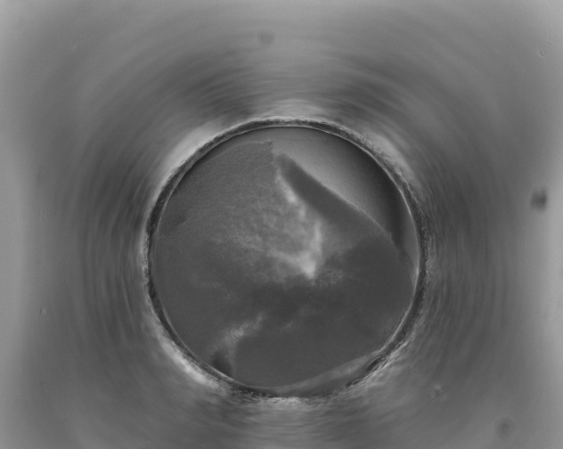 X0000093740990200710231208