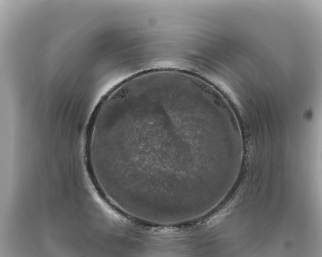 X0000093740991200710231208