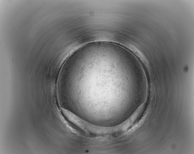 X0000093740993200710231208