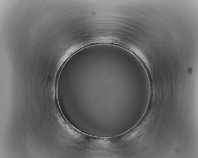 X0000093740994200710231208