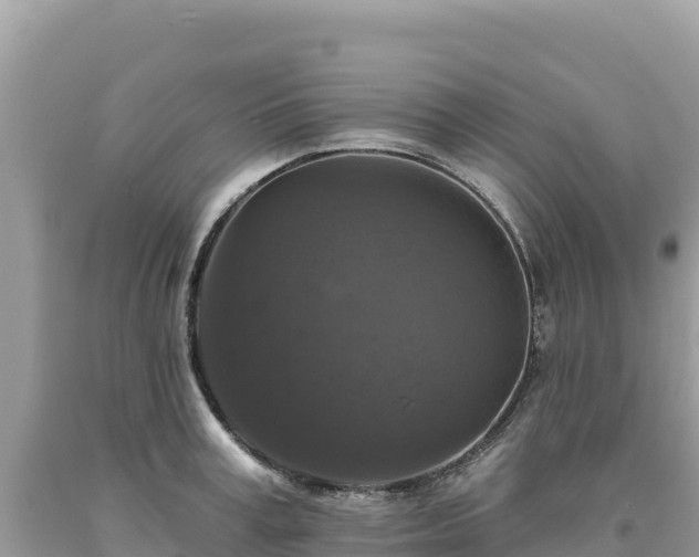 X0000093740995200710231208