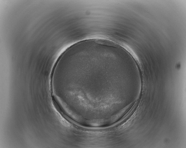 X0000093740996200710231208