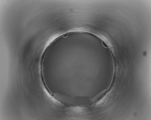 X0000093740998200710231208