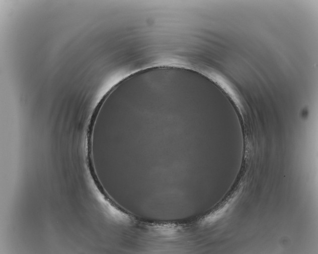 X0000093740999200710231208