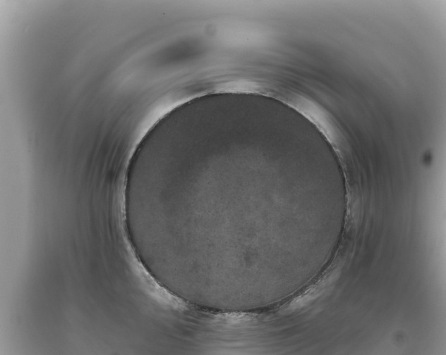 X0000093741000200710231207