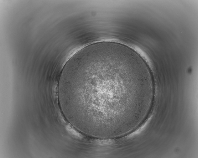 X0000093741001200710231207